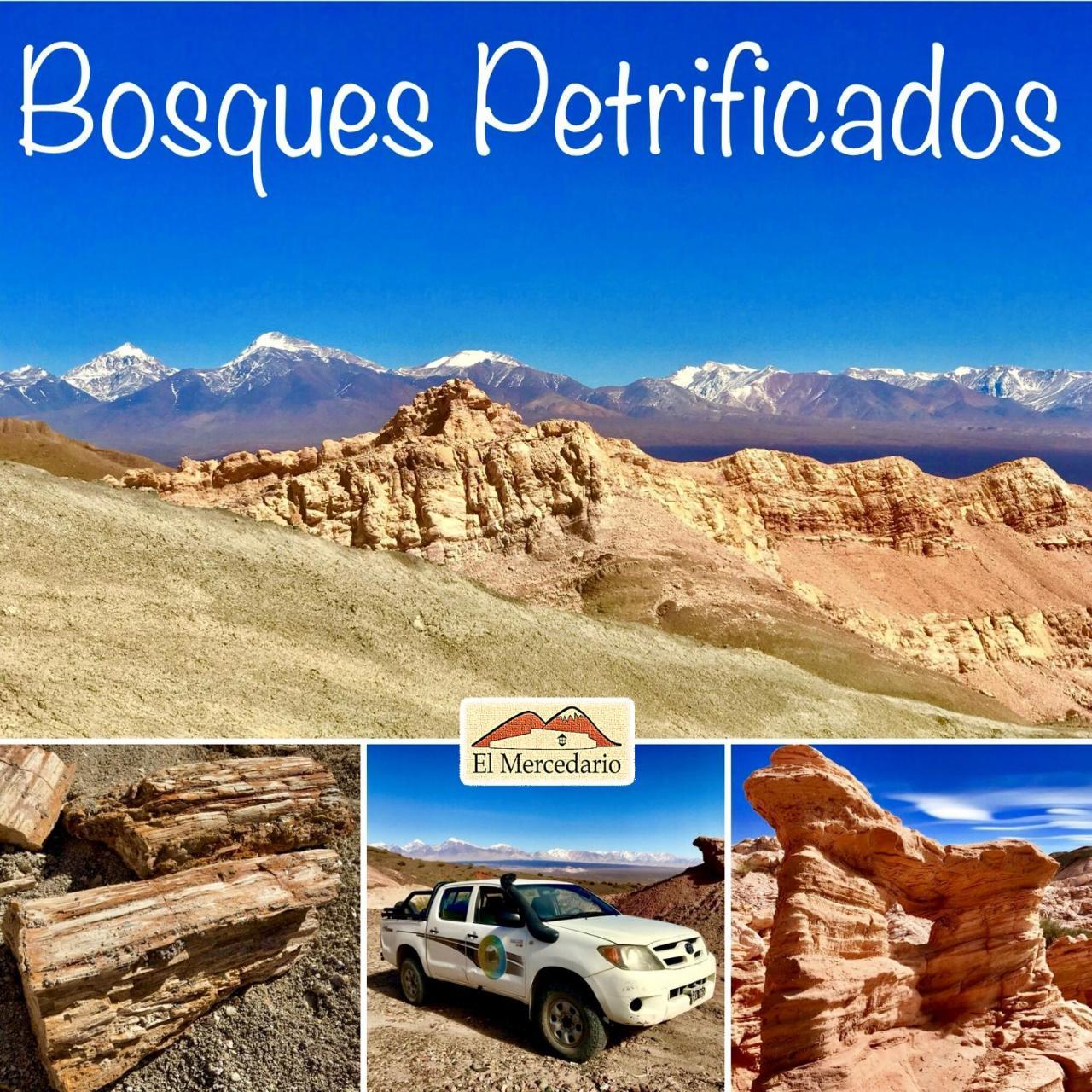 Ecoposada El Mercedario Barreal Luaran gambar