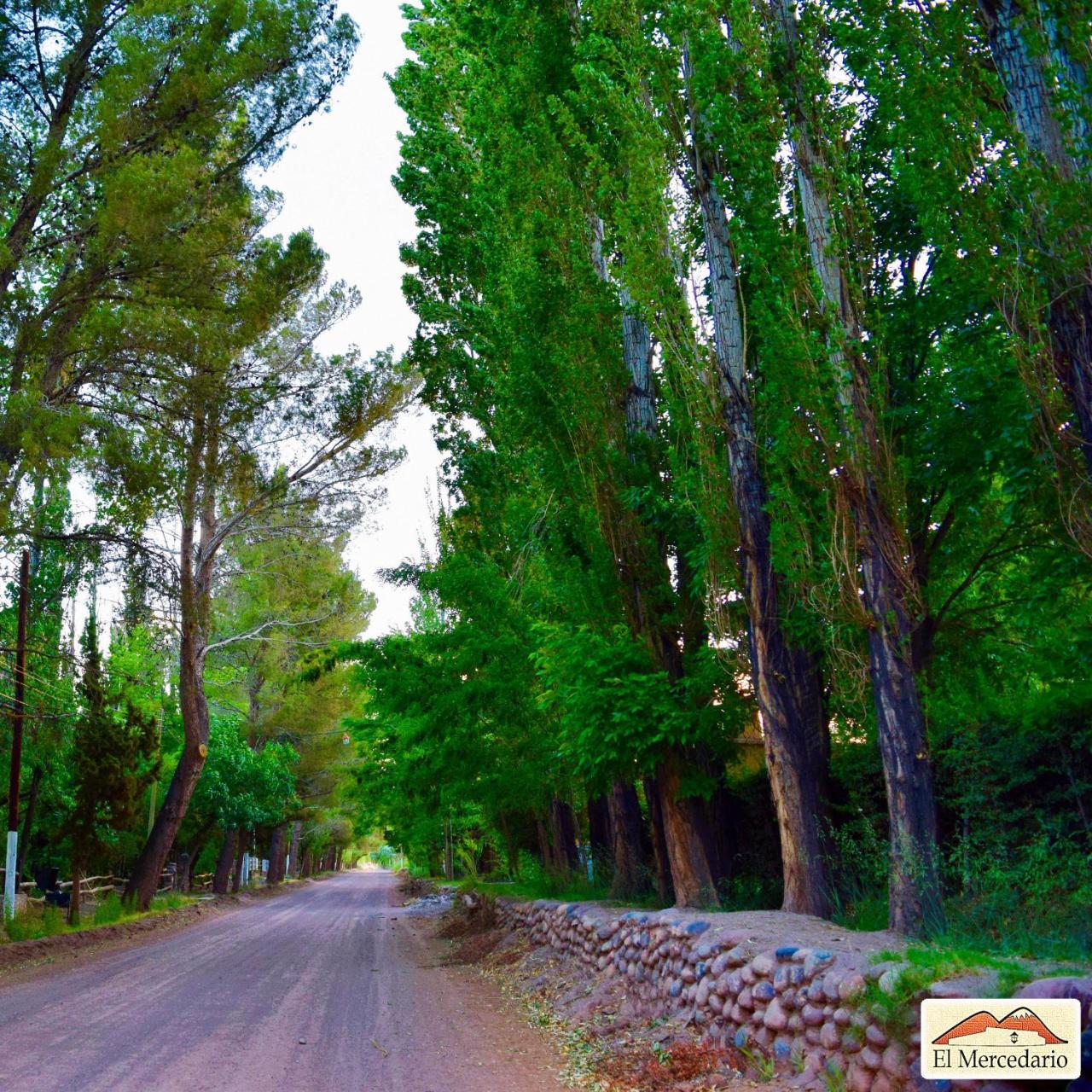 Ecoposada El Mercedario Barreal Luaran gambar